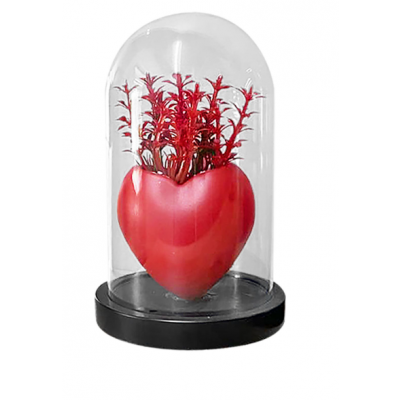 1769164179699Χωρίς τίτλο.png